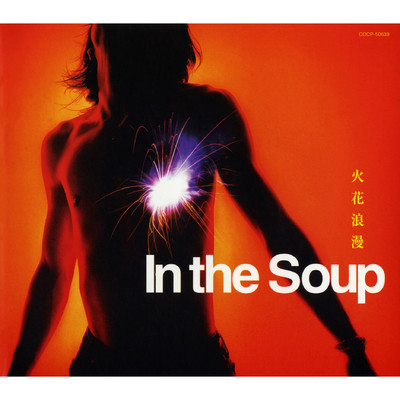 熱い涙 (アルバムバージョン)/In the Soup