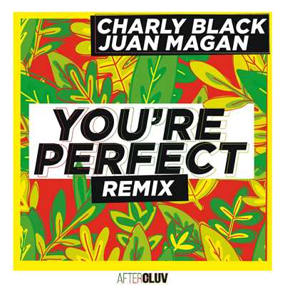 You're Perfect (featuring Juan Magan／Remix)/チャーリー・ブラック