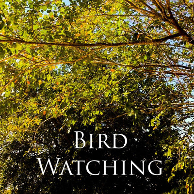 Bird Watching (feat. Maria Lousie)/k.pete