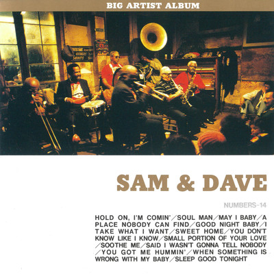 アルバム/ビック・アーティスト・アルバム サム&デイヴ/Sam & Dave