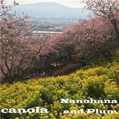 Nanohana and Plum/canola