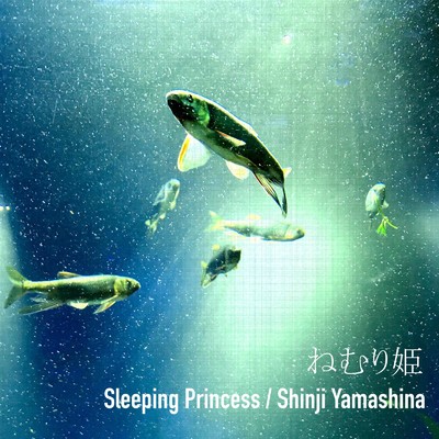 アルバム/ねむり姫/Shinji Yamashina