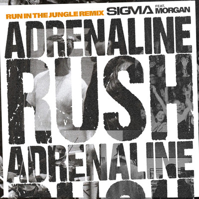 シングル/Adrenaline Rush (featuring MORGAN／Run In The Jungle Remix)/シグマ