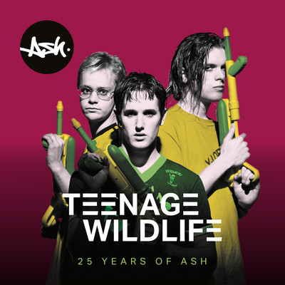 アルバム/Teenage Wildlife: 25 Years of Ash/Ash