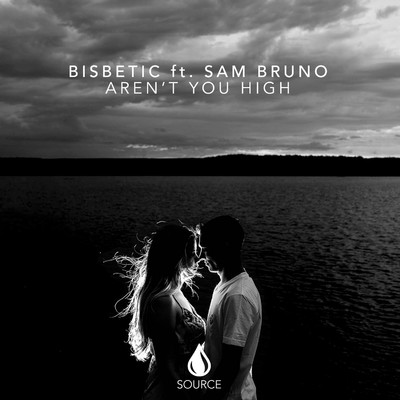 Aren't You High (feat. Sam Bruno)/Bisbetic