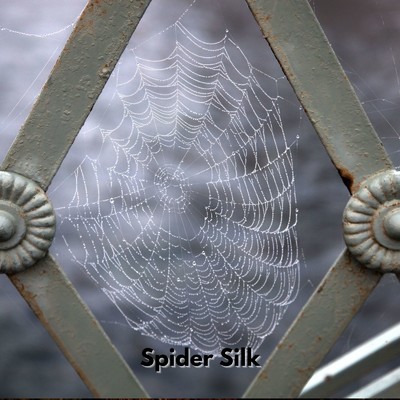Spider Silk/Luby Grace ・ Mind Benefactor ・ DJ Xen