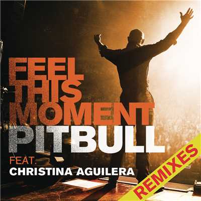 Feel This Moment Remixes feat.Christina Aguilera/Pitbull