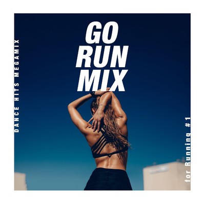 アルバム/GO RUN MIX - Dance Hits Megamix for Running #1/The Hydrolysis Collective