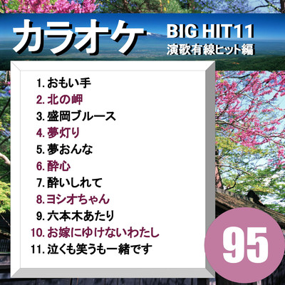 アルバム/カラオケ BIG HIT 11 演歌有線ヒット編95/CTA カラオケ