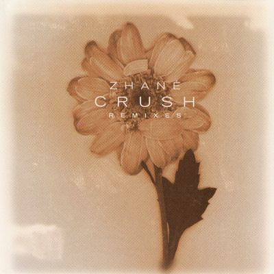 アルバム/Crush Remixes/ジャネイ