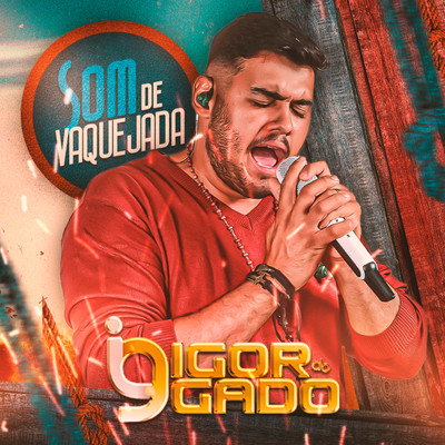 Igor do Gado