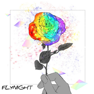 FLY NIGHT