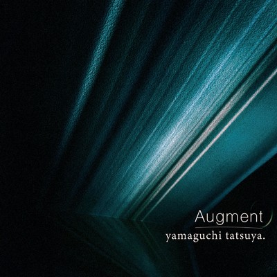 Augment/yamaguchi tatsuya.