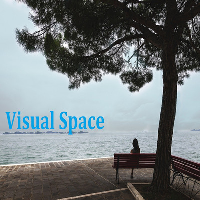 Visual Space/Vermis ego