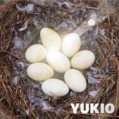 アルバム/YUKIO/YUKIO