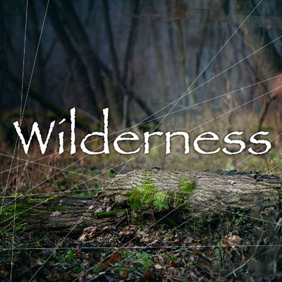 wilderness/Masahiro Inaba & The Attack