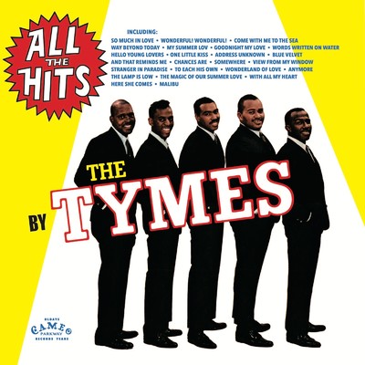 STRANGER IN PARADISE/The Tymes
