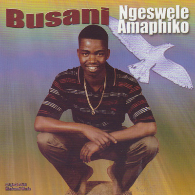 Angiphuphanga Kahle/Busani