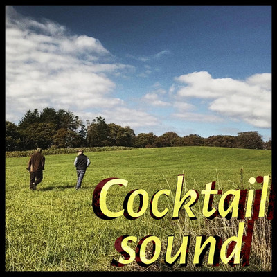 アルバム/Cocktail sound/Cocktail