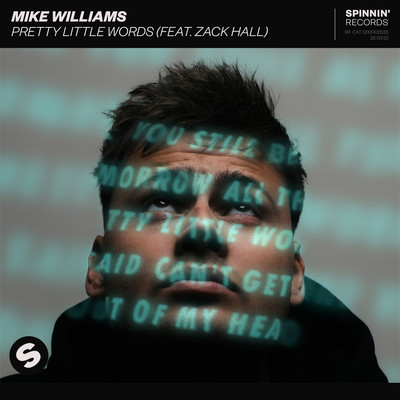シングル/Pretty Little Words (feat. Zack Hall) [Extended Mix]/Mike Williams