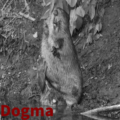 Dogma/Tetons
