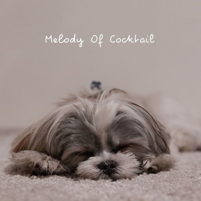 シングル/Melody Of Cocktail/Mil Luck
