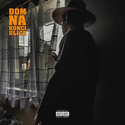 アルバム/Dom Na Konci Ulice (Explicit)/Dyzivv