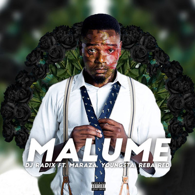 Malume (feat. Reba Red, Youngsta CPT and Maraza)/DJ Radix