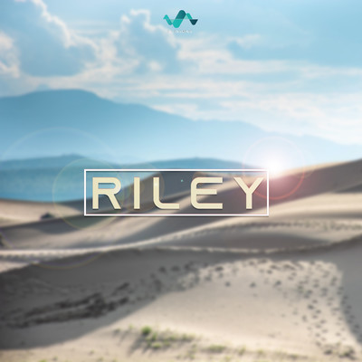 アルバム/Riley/NS Records