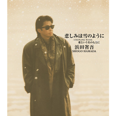 悲しみは雪のように(single ／ 1992)/浜田 省吾