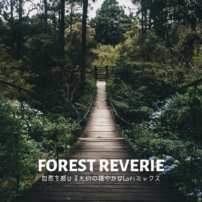 Forest Reverie: 自然を感じるための穏やかなLofiミックス/Cafe lounge groove