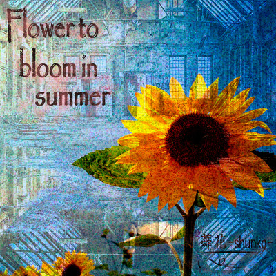 Flower to bloom in summer/蕣花-Shunka-