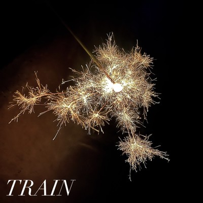 TRAIN/NovA GOLD.Jr