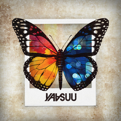 アルバム/バタフライ/YAASUU