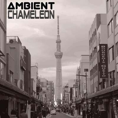 It Never Ends (Interlude)/Ambient Chameleon