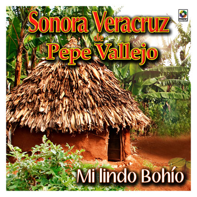 アルバム/Mi Lindo Bohio/Sonora Veracruz de Pepe Vallejo