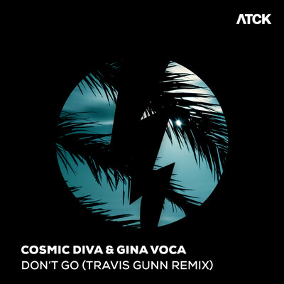 シングル/Don't Go/Cosmic Diva & GINA VOCA