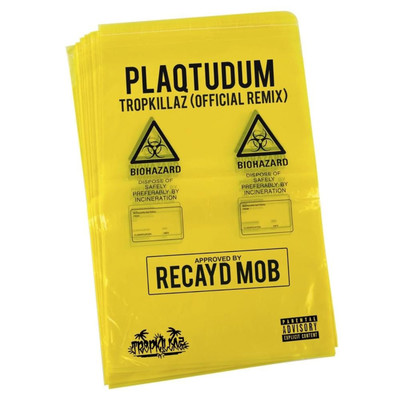 Plaqtudum (Tropkillaz Remix)/Recayd Mob