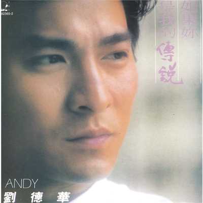 Nan Mian You Cuo/Andy Lau