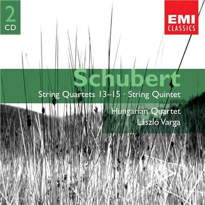 String Quartet No. 13 in A Minor, Op. 29, D. 804 ”Rosamunde”: I. Allegro ma non troppo/Hungarian Quartet