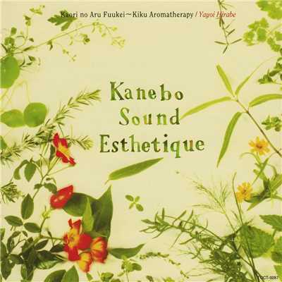 Kanebo Sound Esthetique 4 「香りのある風景～聴くアロマテラピー」/平部やよい