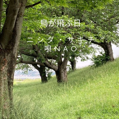 鳥が飛ぶ日 (feat. Nao)/ニシダ・サキチ