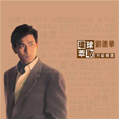 アルバム/Huan Qiu Cui Qu Sheng Ji Jing Xuan/Andy Lau