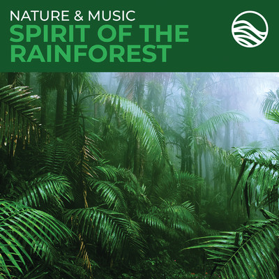 Nature & Music: Spirit Of The Rainforest/デヴィッド・アーカンストーン