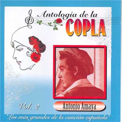アルバム/Antologia De La Copla Vol. 2/Antonio Amaya