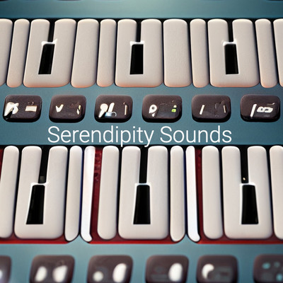 Serendipity Sounds/Sawyer West