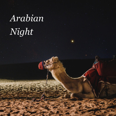 Arabian Night/DN.FACTORY