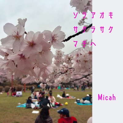 シングル/ソラ アオキ サクラ サク マチへ/MICAH