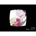 アルバム/虚勢ナンセンス/Chicks