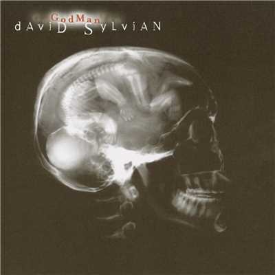 シングル/God Man (Guy Sigsworth Remix)/David Sylvian